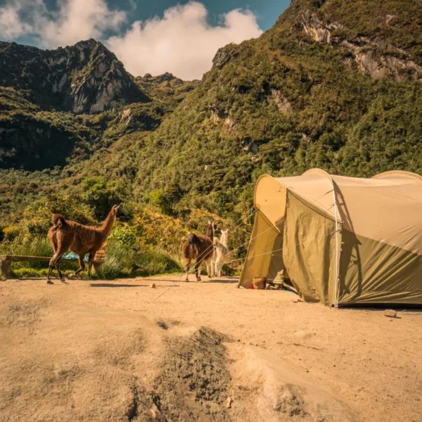 iNCA TRAIL Luxury Trekking in Peru