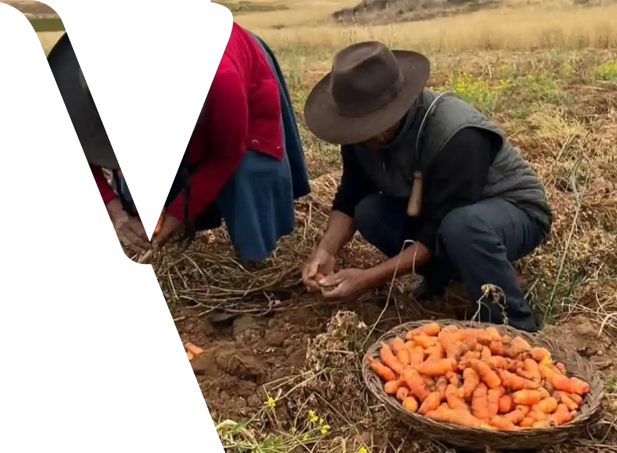 Gastronomy Sacred Valley